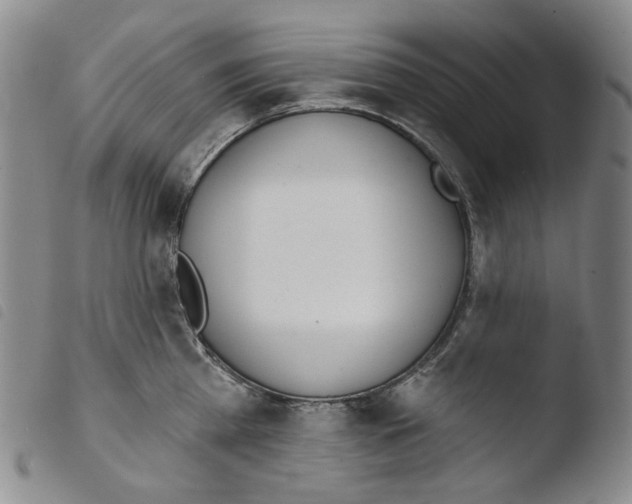 X0000103490809200810241100