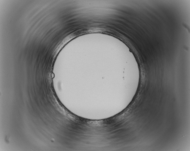 X0000103490810200810241100