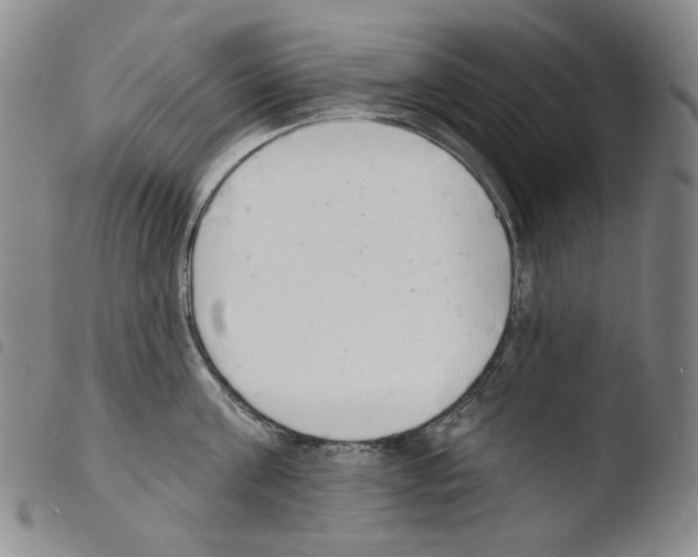 X0000103490811200810241100