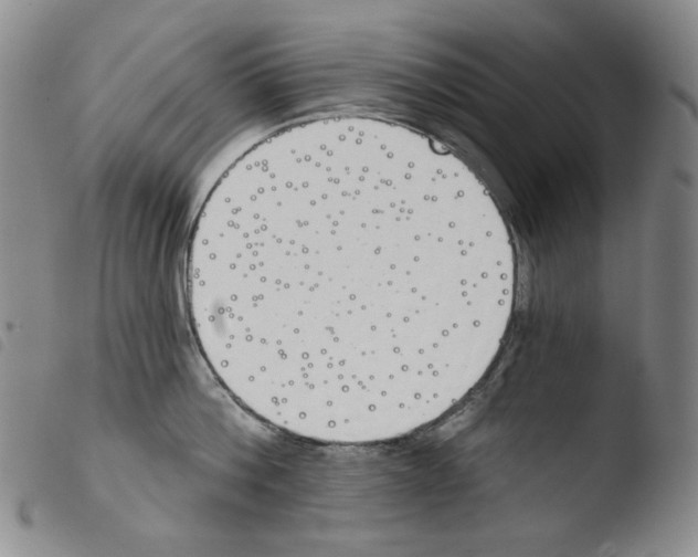 X0000103490812200810241100