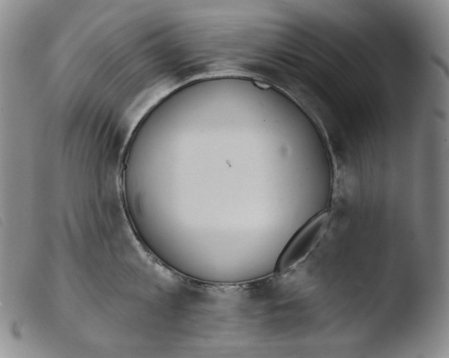X0000103490813200810241100