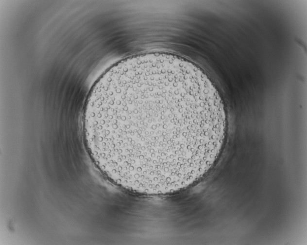 X0000103490814200810241100