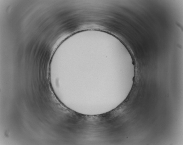 X0000103490815200810241100