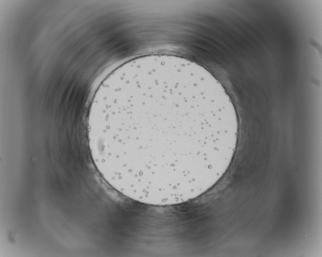 X0000103490816200810241100