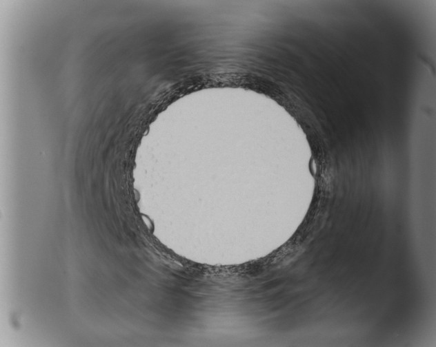 X0000103490817200810241059