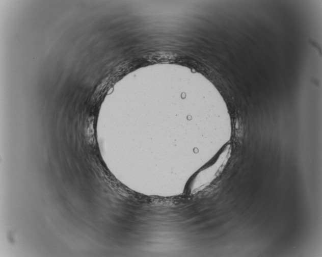 X0000103490818200810241059