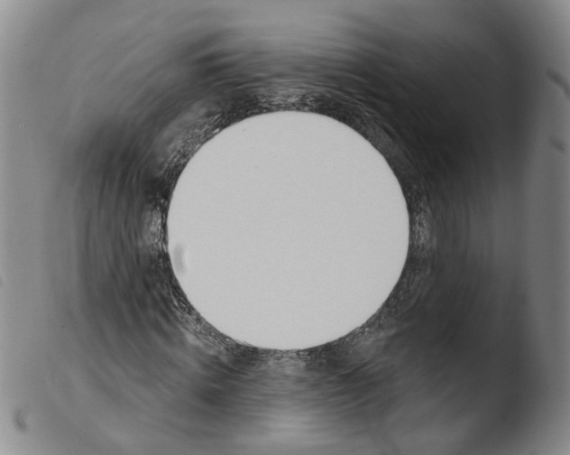 X0000103490820200810241059