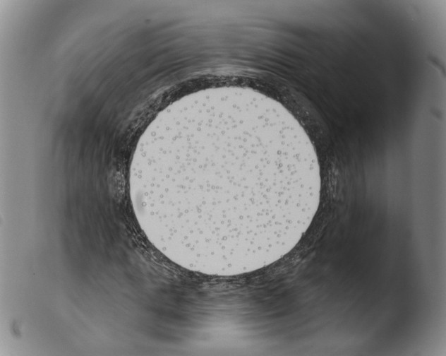 X0000103490821200810241059