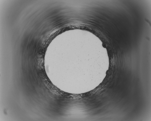 X0000103490822200810241059
