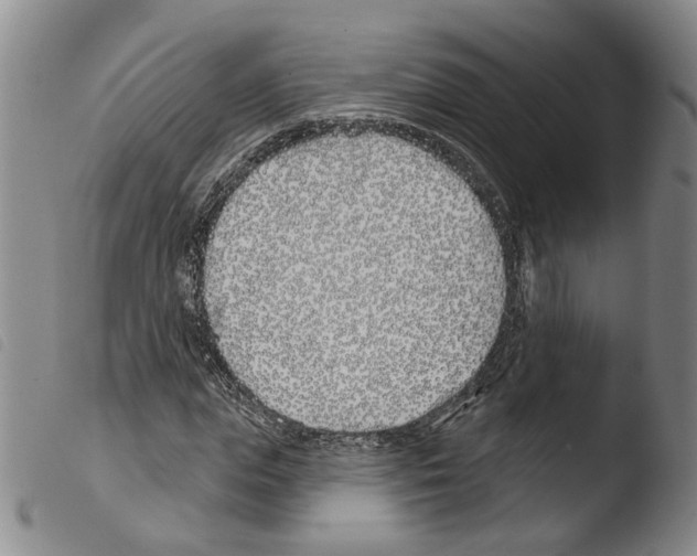 X0000103490823200810241059