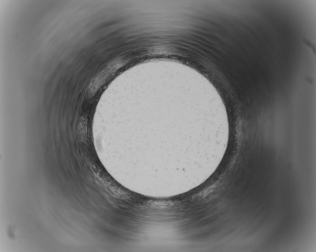 X0000103490825200810241059
