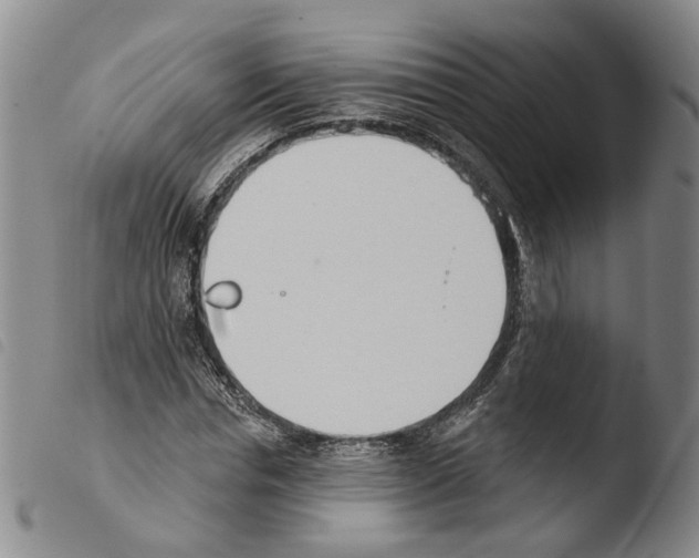 X0000103490826200810241059
