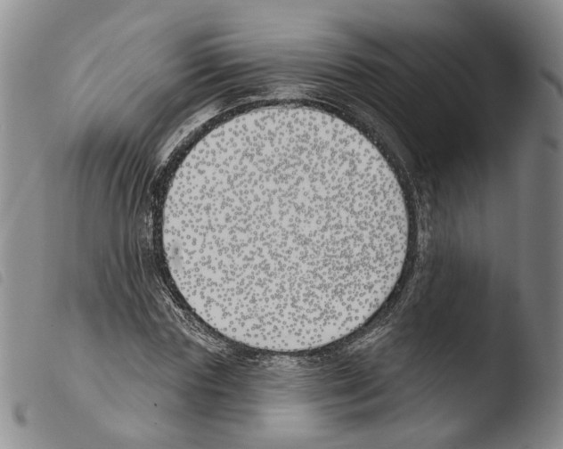 X0000103490827200810241059