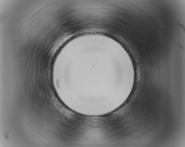 X0000103490828200810241059