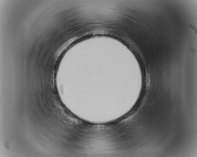 X0000103490829200810241059