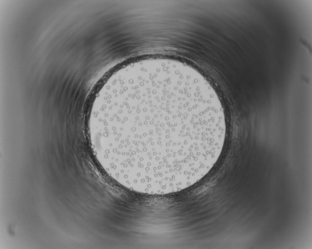 X0000103490830200810241059