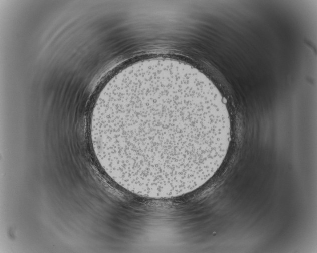 X0000103490831200810241059