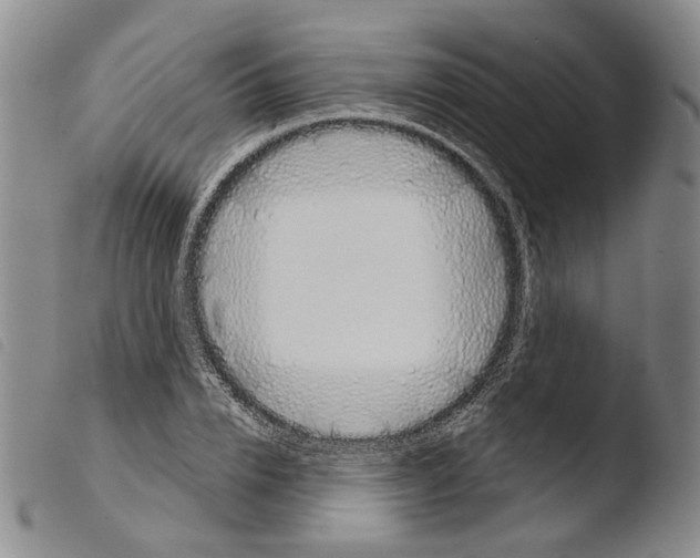 X0000103490832200810241059
