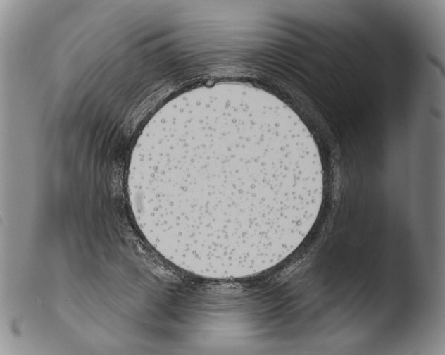 X0000103490833200810241059