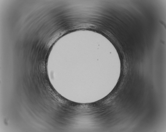 X0000103490834200810241059