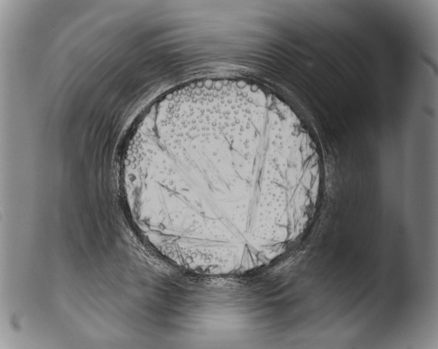 X0000103490835200810241059