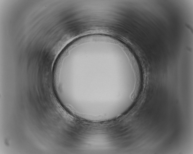 X0000103490836200810241059