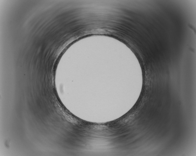 X0000103490837200810241059