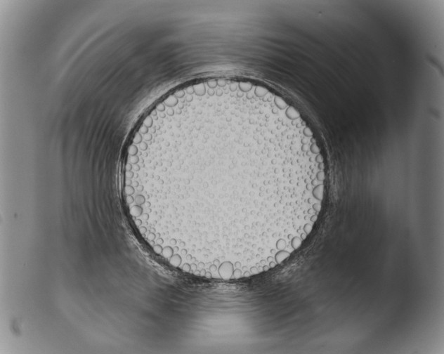 X0000103490839200810241059