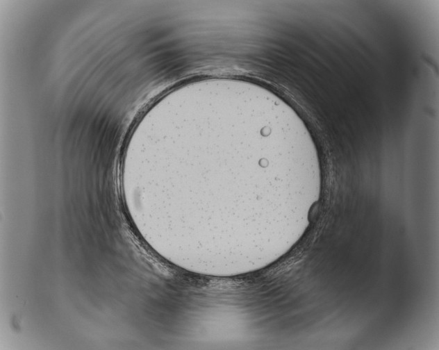 X0000103490840200810241059