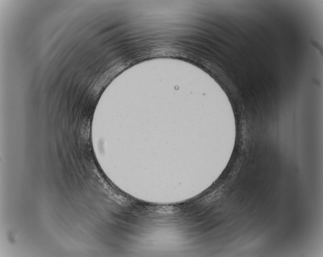 X0000103490841200810241059
