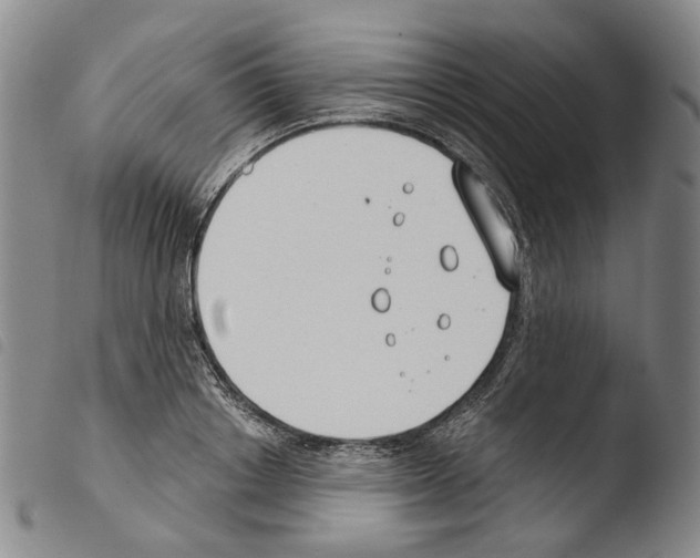 X0000103490842200810241059