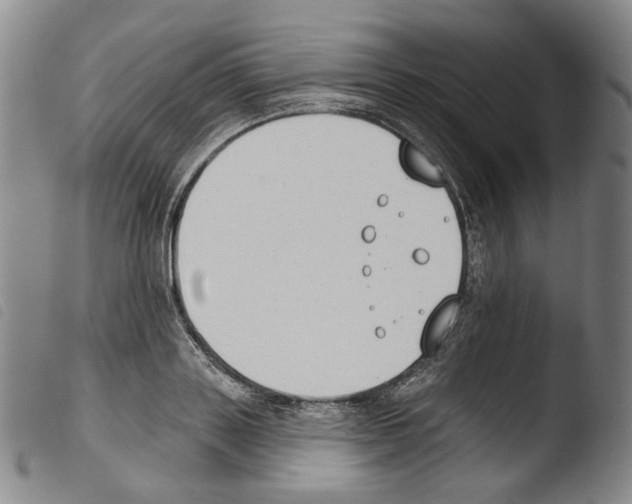 X0000103490843200810241059
