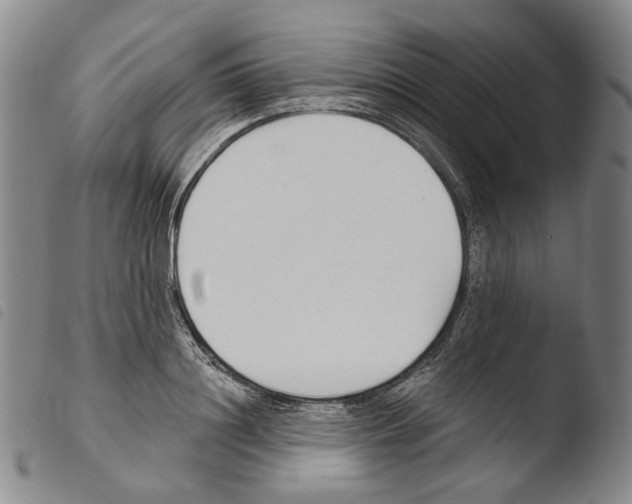 X0000103490844200810241059
