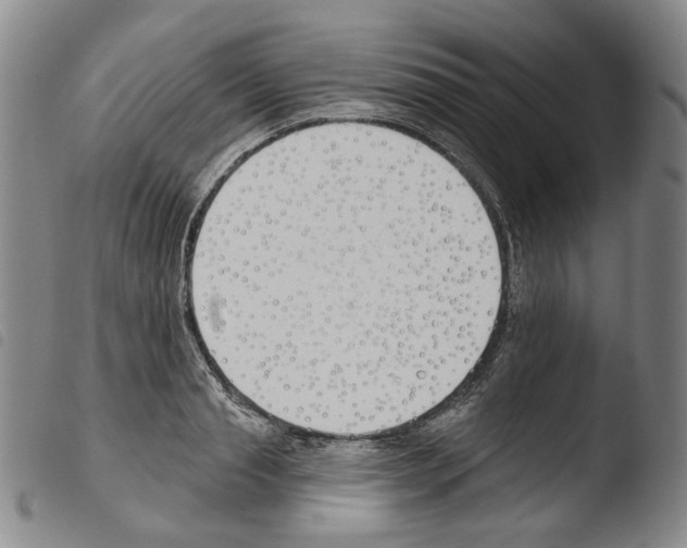 X0000103490845200810241059