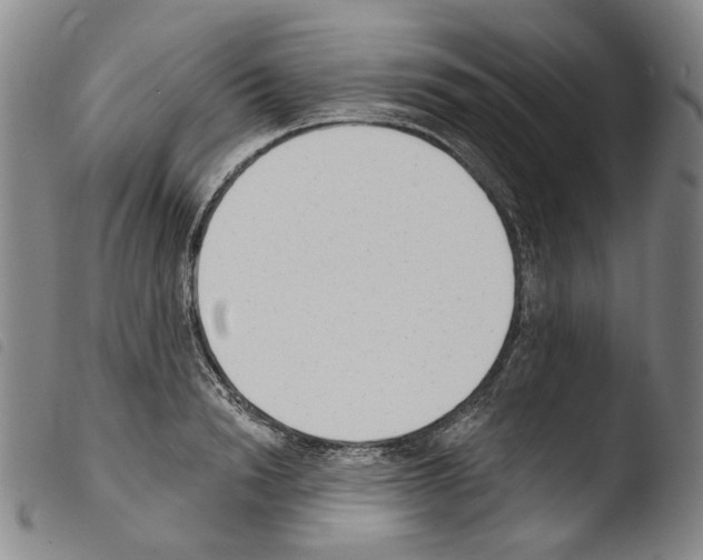 X0000103490846200810241059