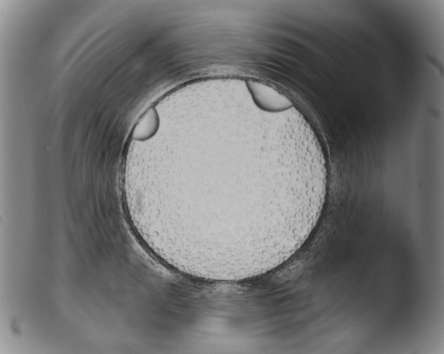 X0000103490847200810241059
