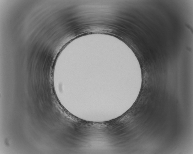 X0000103490848200810241059