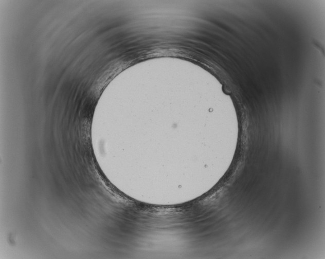 X0000103490849200810241059