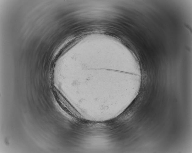 X0000103490851200810241059
