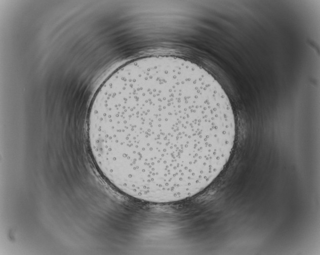 X0000103490852200810241059