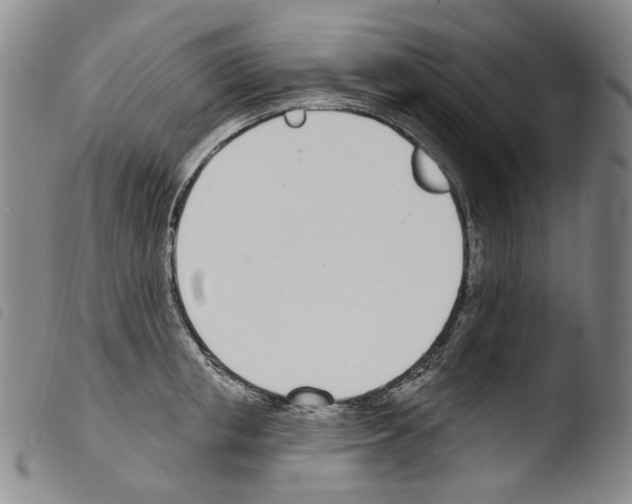 X0000103490853200810241059