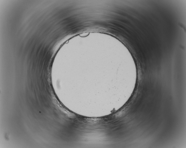 X0000103490854200810241059