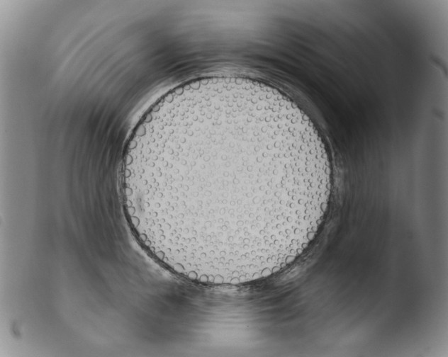 X0000103490855200810241059