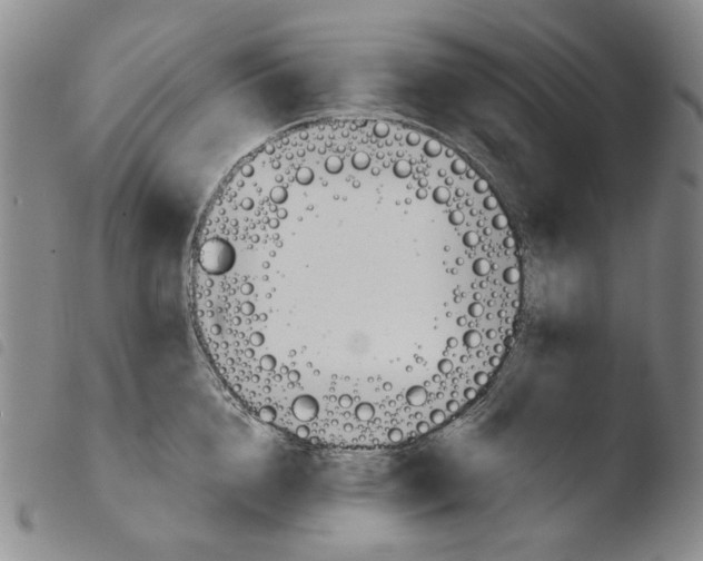 X0000103490856200810241100