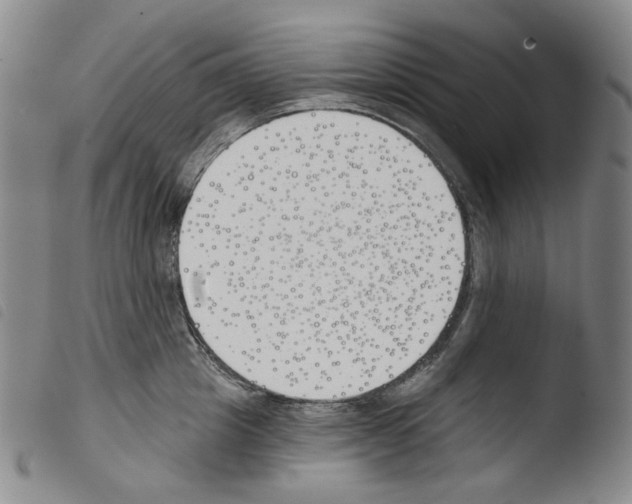 X0000103490857200810241100