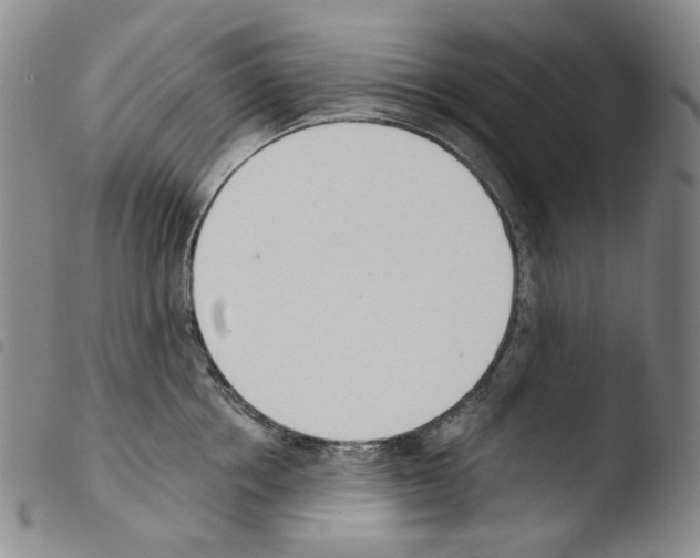 X0000103490858200810241100
