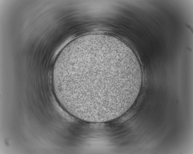 X0000103490859200810241100