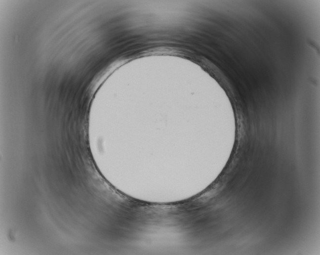 X0000103490860200810241100