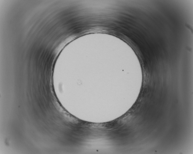 X0000103490861200810241100