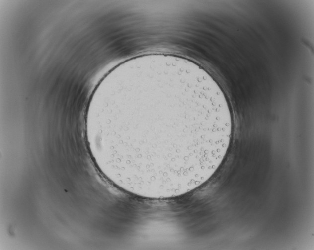 X0000103490862200810241100